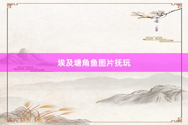 埃及塘角鱼图片抚玩