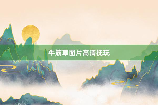 牛筋草图片高清抚玩